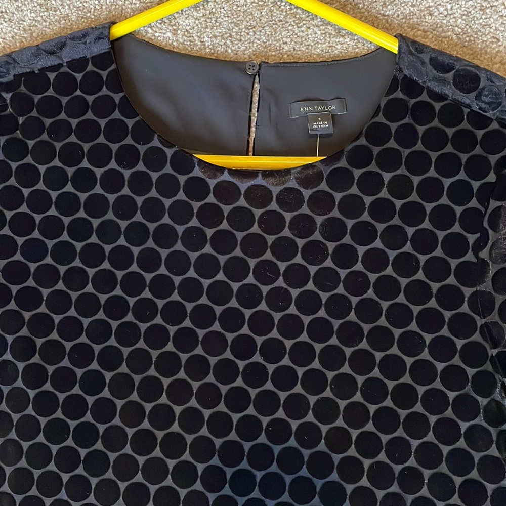 Ann Taylor velvet velour dot dress